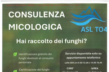 Consulenza Micologica